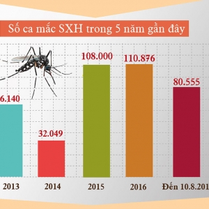 Đừng thơ ơ với sốt xuất huyết khi thấy những con số đáng sợ này